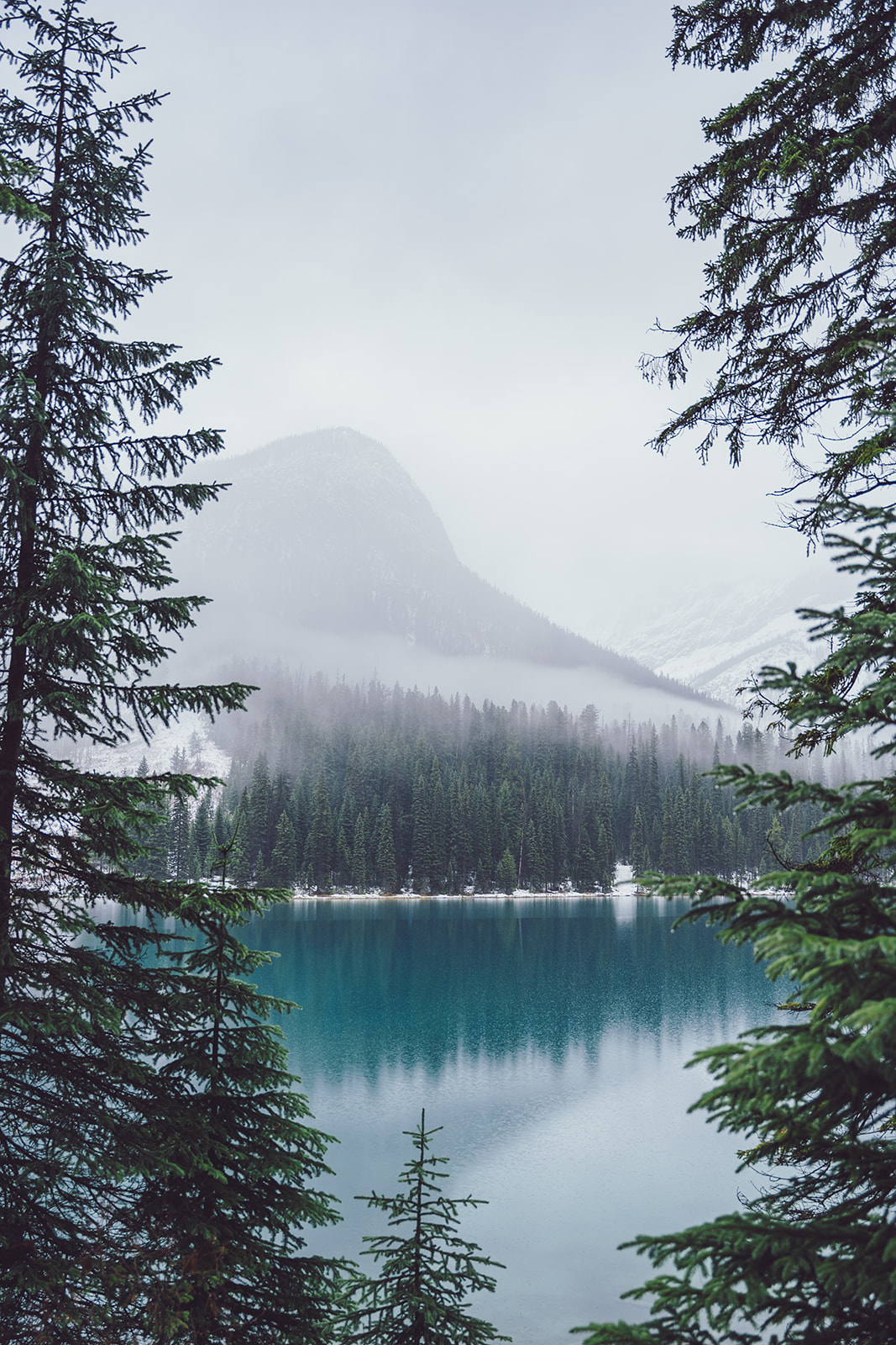 Emerald Lake Jacob Medler Photography 5.jpg