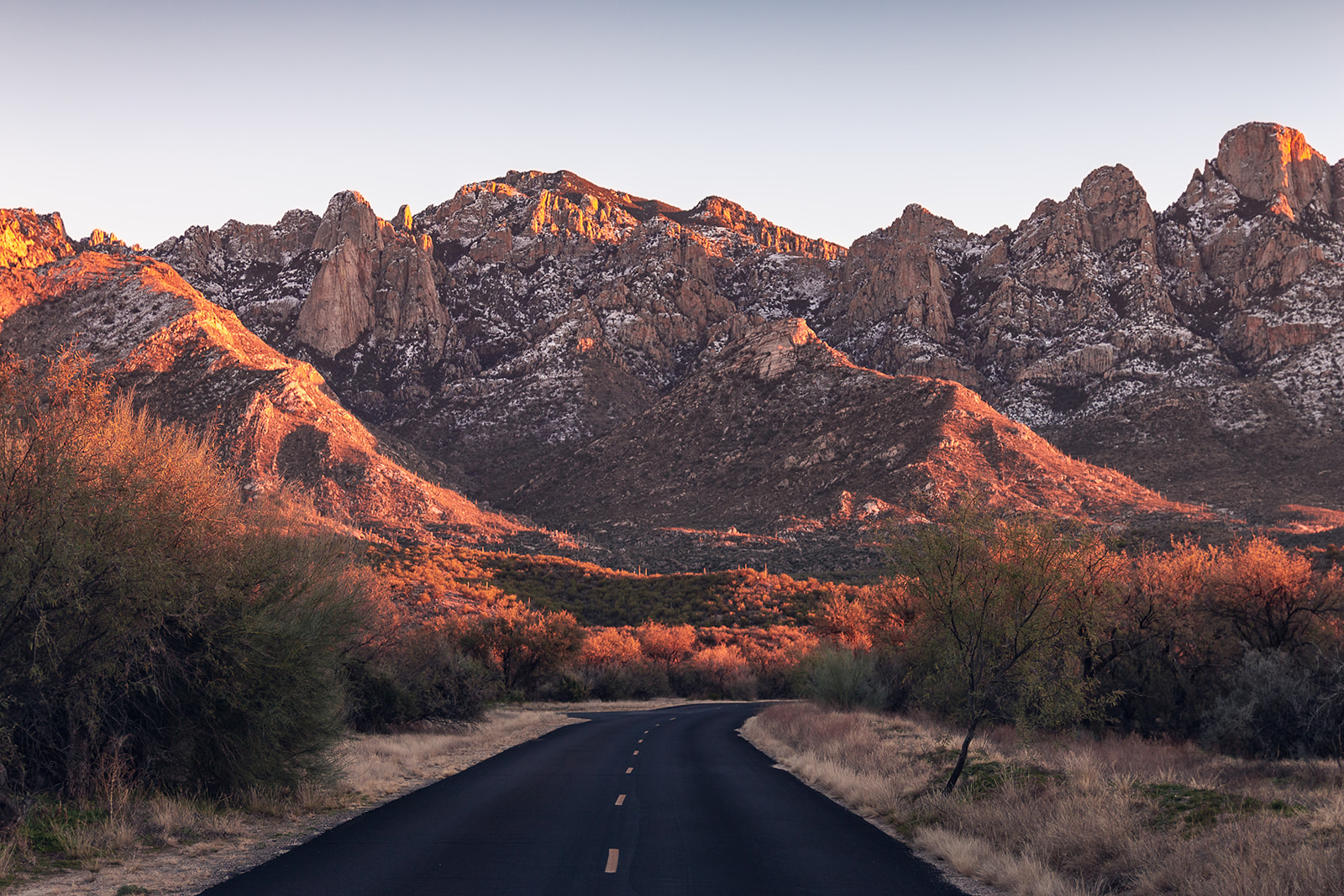 OLDIMG_1192-Edit-Edit-1-20190104-Jacob-Medler-Photography.jpg
